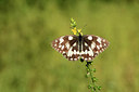 BUITEN BEELD Foto: 364120