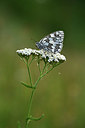 BUITEN BEELD Foto: 364151