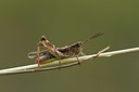 BUITEN BEELD Foto: 364156