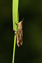 BUITEN BEELD Foto: 364163