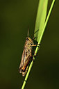 BUITEN BEELD Foto: 364165