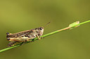 BUITEN BEELD Foto: 364180