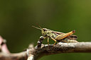 BUITEN BEELD Foto: 364194