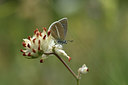 BUITEN BEELD Foto: 364207