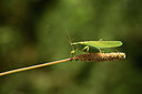 BUITEN BEELD Foto: 364211