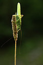 BUITEN BEELD Foto: 364213