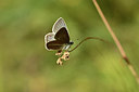 BUITEN BEELD Foto: 364215