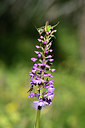 BUITEN BEELD Foto: 364226