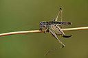 BUITEN BEELD Foto: 364270