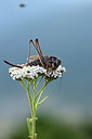 BUITEN BEELD Foto: 364278