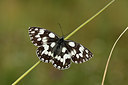 BUITEN BEELD Foto: 364279