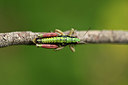BUITEN BEELD Foto: 364298