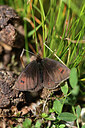 BUITEN BEELD Foto: 364299