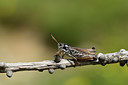 BUITEN BEELD Foto: 364301