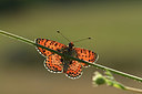 BUITEN BEELD Foto: 364319