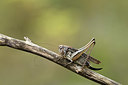 BUITEN BEELD Foto: 364324