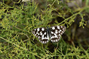 BUITEN BEELD Foto: 364336