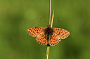 BUITEN BEELD Foto: 364346