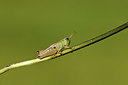 BUITEN BEELD Foto: 364351