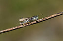 BUITEN BEELD Foto: 364380