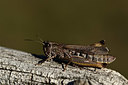 BUITEN BEELD Foto: 364391