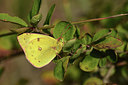 BUITEN BEELD Foto: 364560