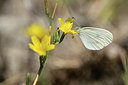 BUITEN BEELD Foto: 364561