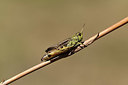 BUITEN BEELD Foto: 364563