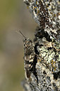 BUITEN BEELD Foto: 364582