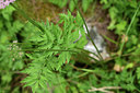 BUITEN BEELD Foto: 364612