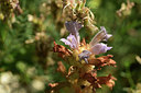 BUITEN BEELD Foto: 364640