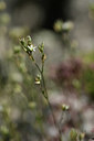 BUITEN BEELD Foto: 364647