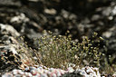 BUITEN BEELD Foto: 364652