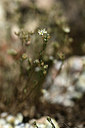 BUITEN BEELD Foto: 364655