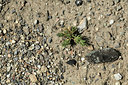 BUITEN BEELD Foto: 364665
