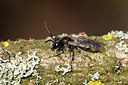 BUITEN BEELD Foto: 364722