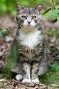 BUITEN BEELD Foto: 364902