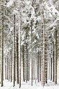 BUITEN BEELD Foto: 364967