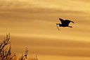 BUITEN BEELD Foto: 365244