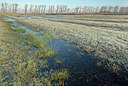 BUITEN BEELD Foto: 365642
