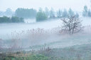 BUITEN BEELD Foto: 365656