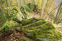 BUITEN BEELD Foto: 365658