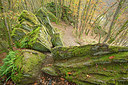 BUITEN BEELD Foto: 365659