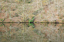 BUITEN BEELD Foto: 365666