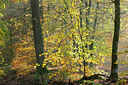 BUITEN BEELD Foto: 365677