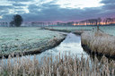 BUITEN BEELD Foto: 365721
