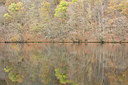 BUITEN BEELD Foto: 365773