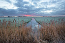 BUITEN BEELD Foto: 365792