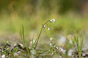 BUITEN BEELD Foto: 365837