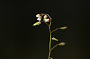 BUITEN BEELD Foto: 365839